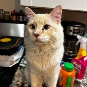 Meet your Posher, Isabelle